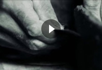 video1